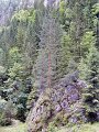 DSCN5596 (web)